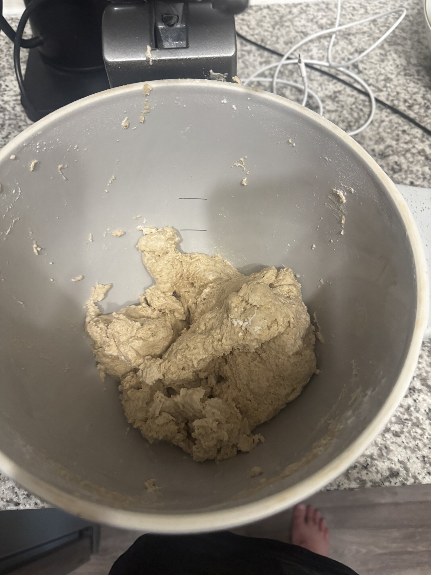 Flour and water at the start of the autolyse.