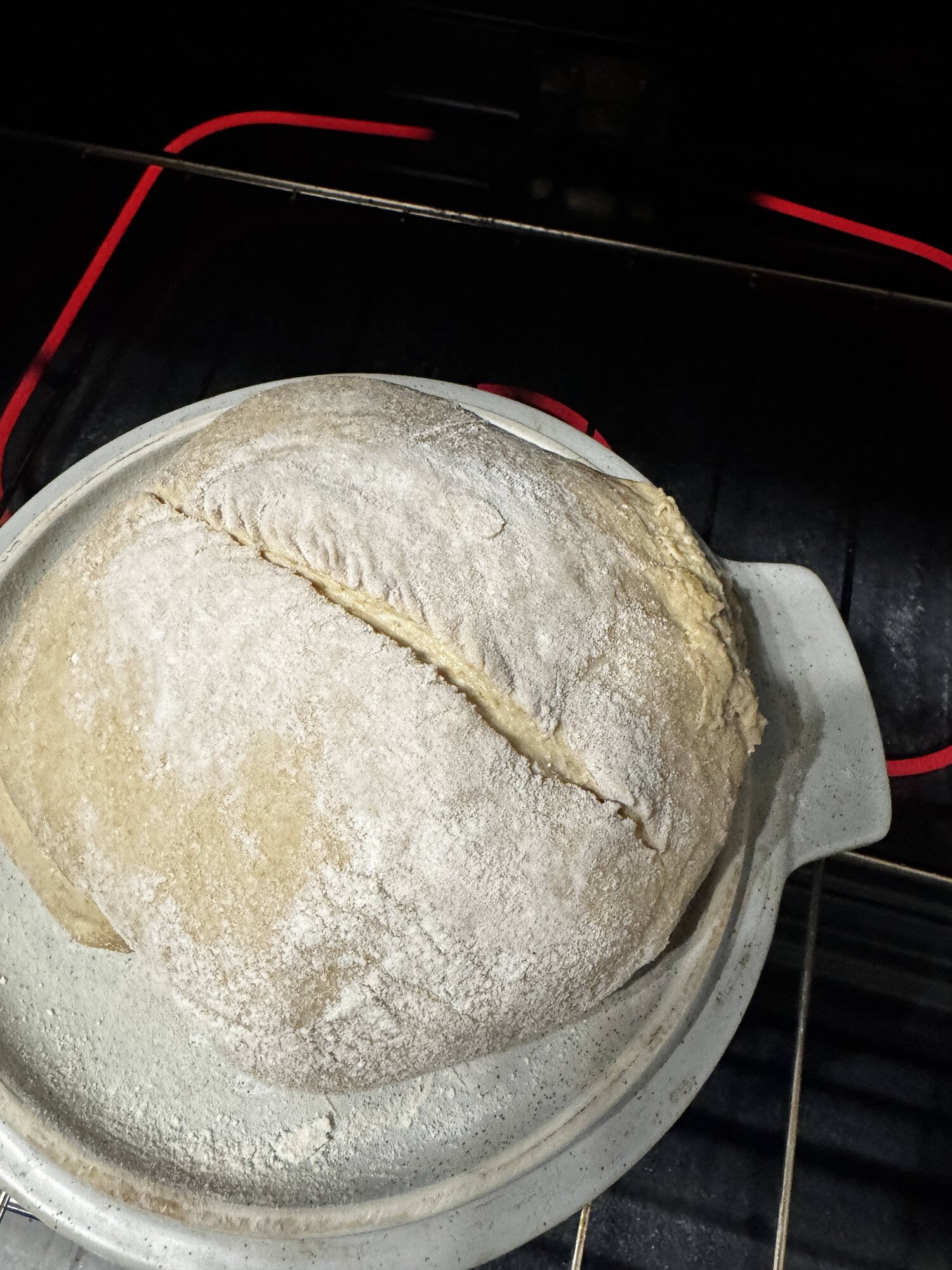 Back out of the oven after I remembered I forgot to score it.