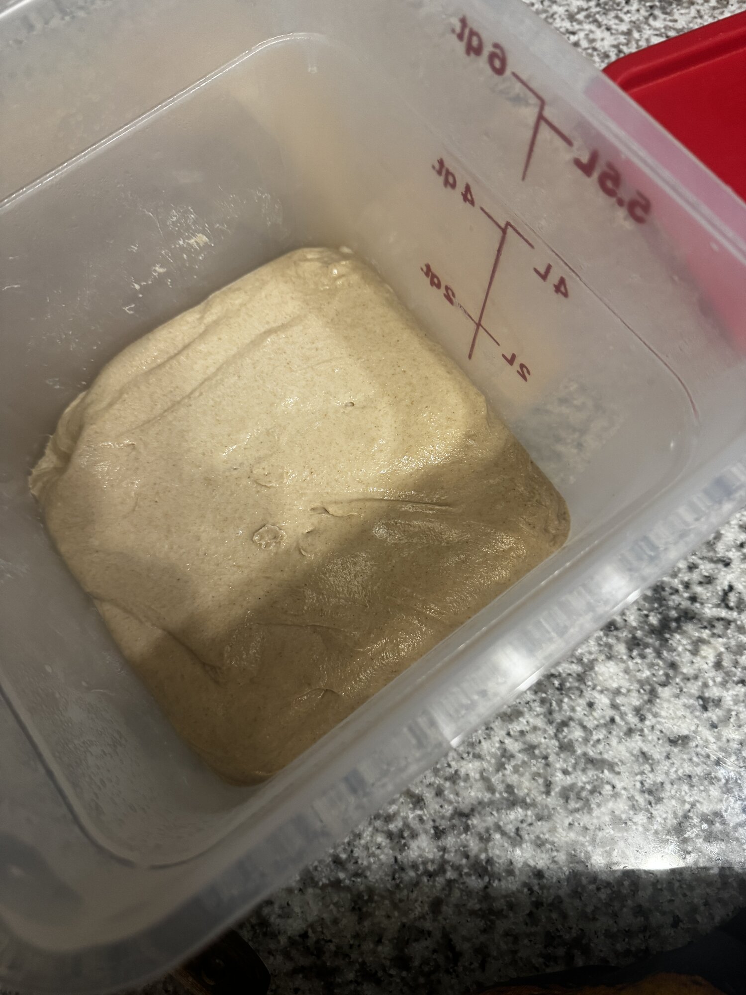 The dough around 6 AM after finishing bulk fermentation.
