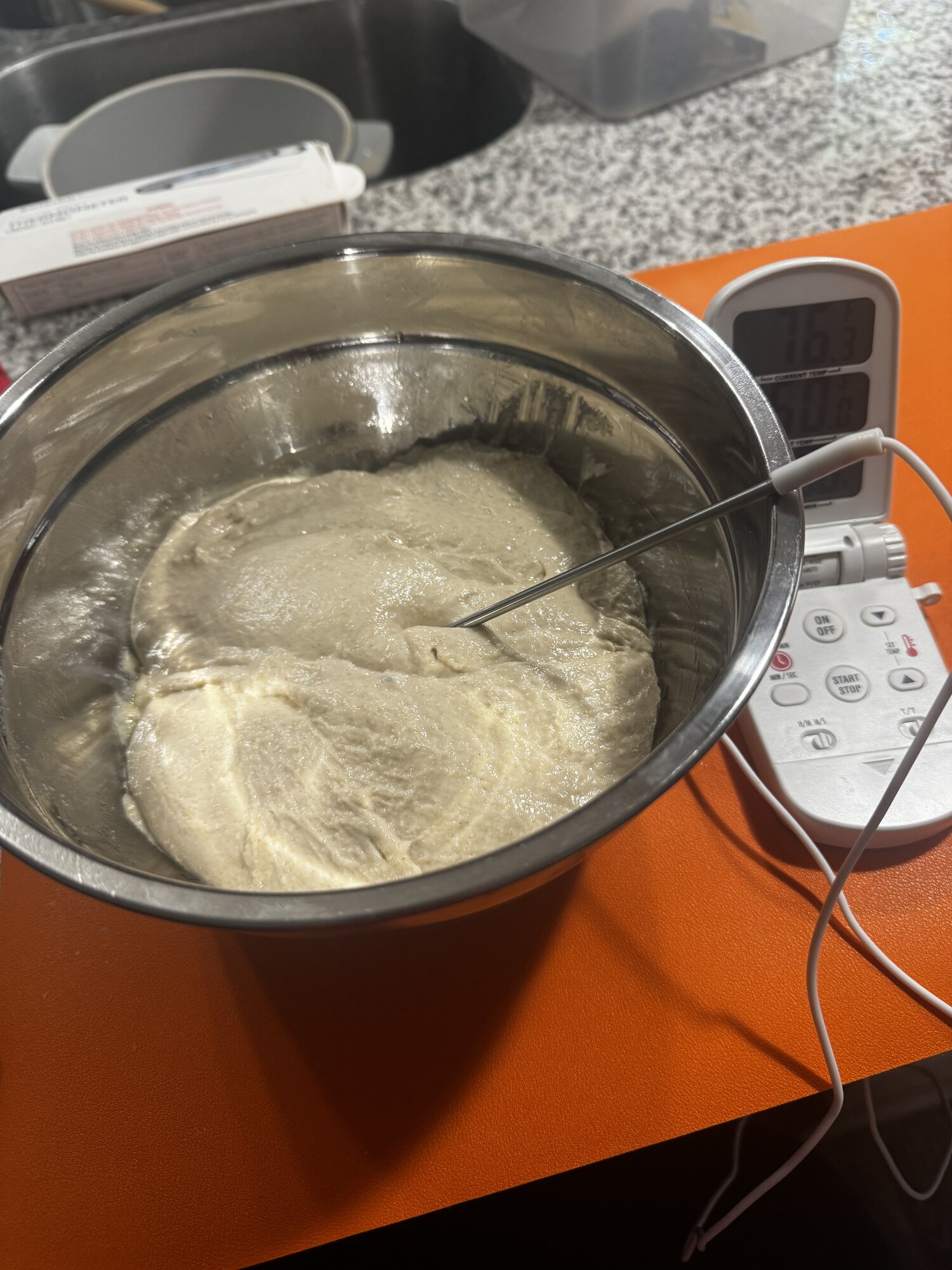 The dough before the second fold.