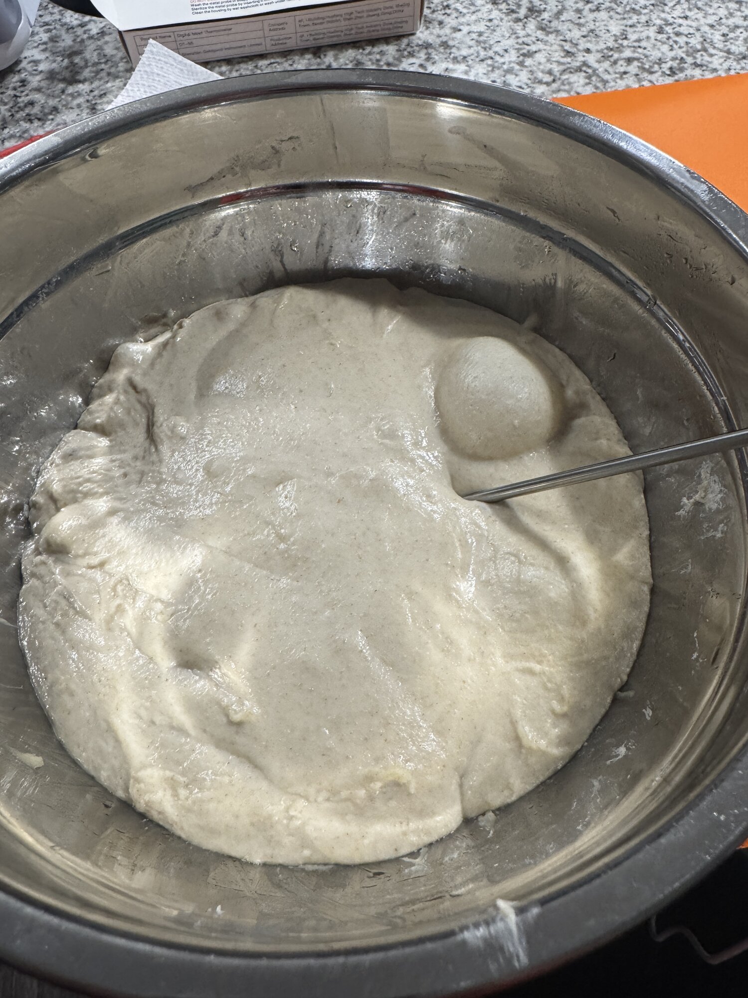 The dough looking increasingly pillowy at 3:54 pm.