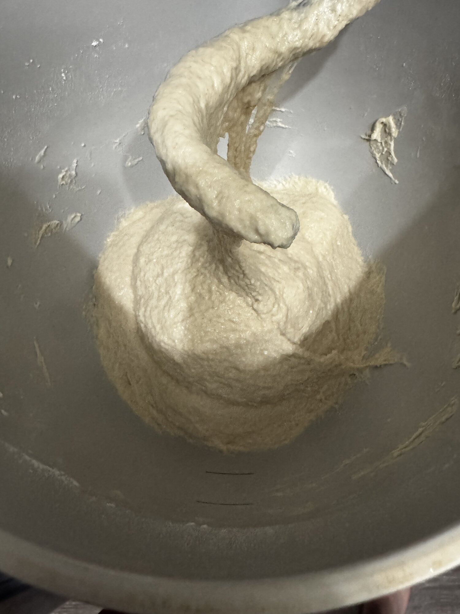The dough after five minutes of mixing.