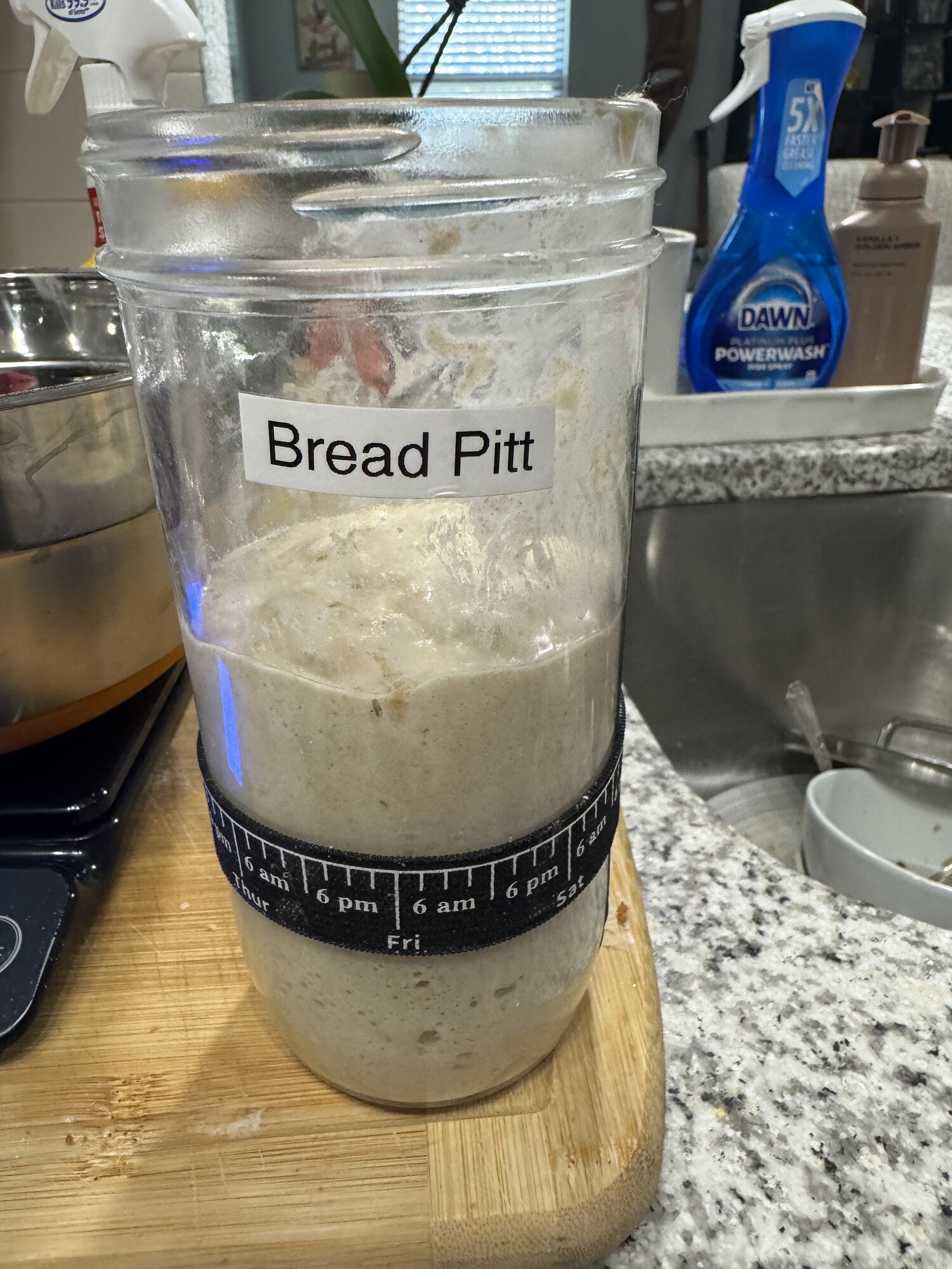 Bread Pitt active, bubbly, and ready for focaccia.