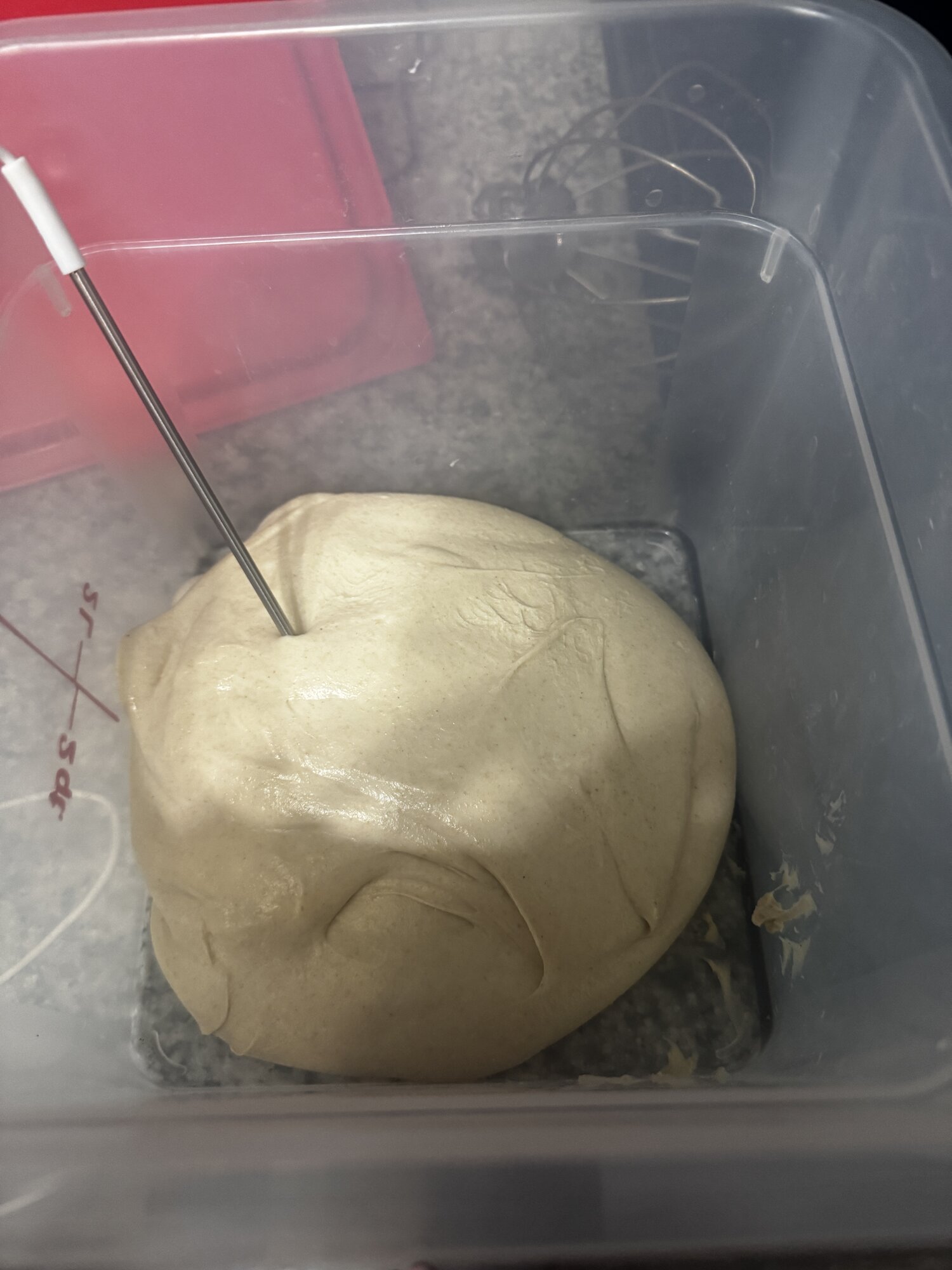 The dough beginning to expand during bulk fermentation.