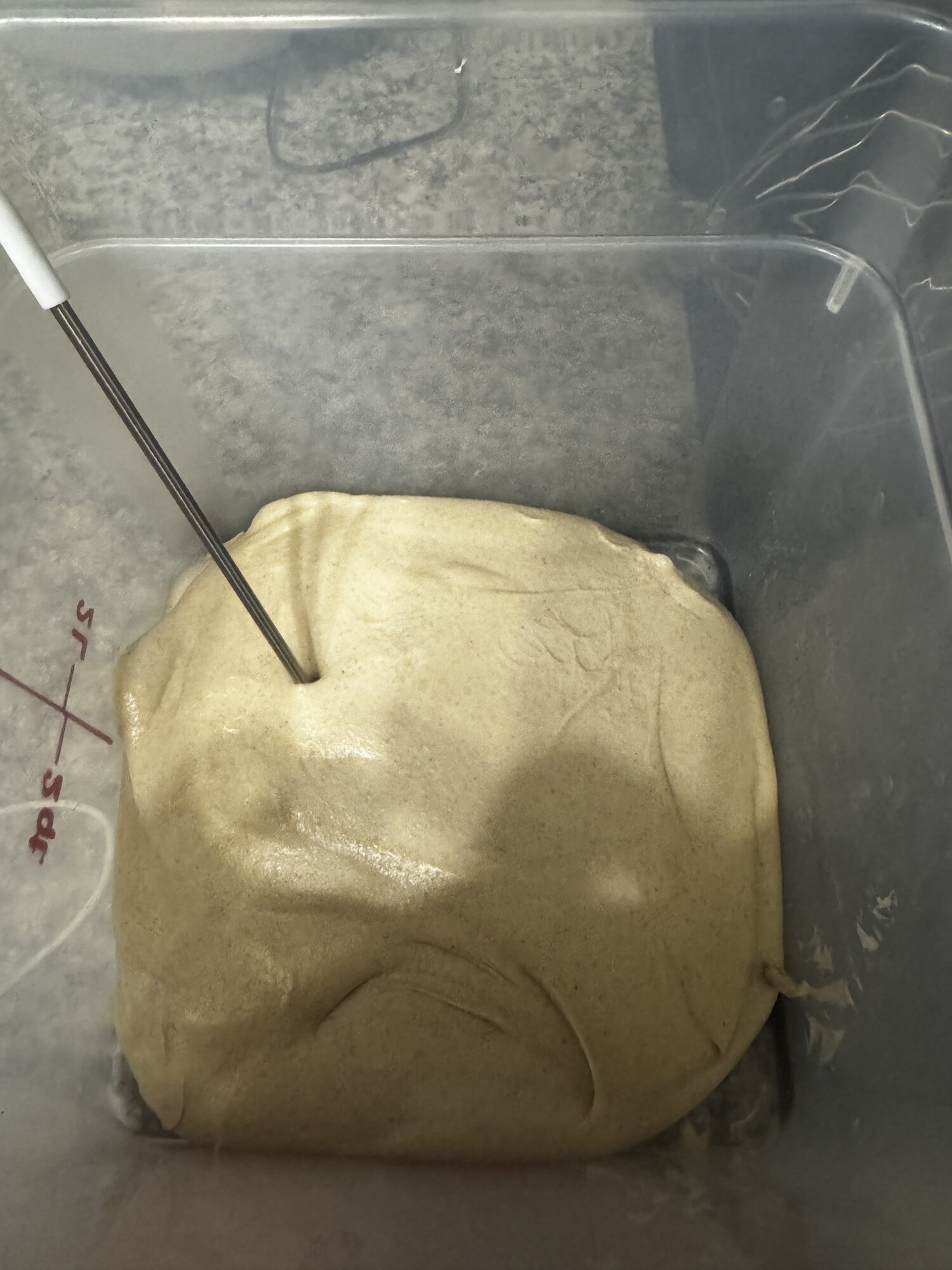 Bulk fermentation complete after a little over seven hours.