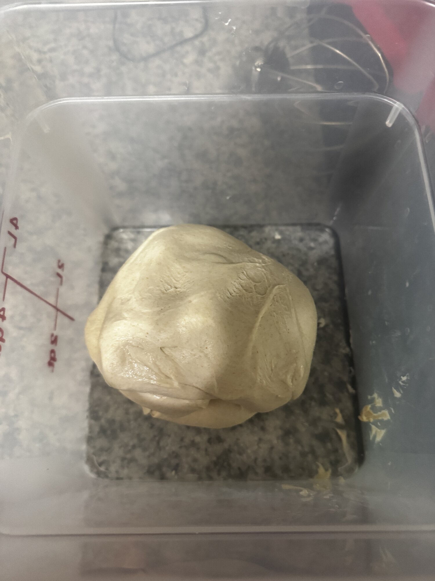 The dough holding its shape after the third fold.