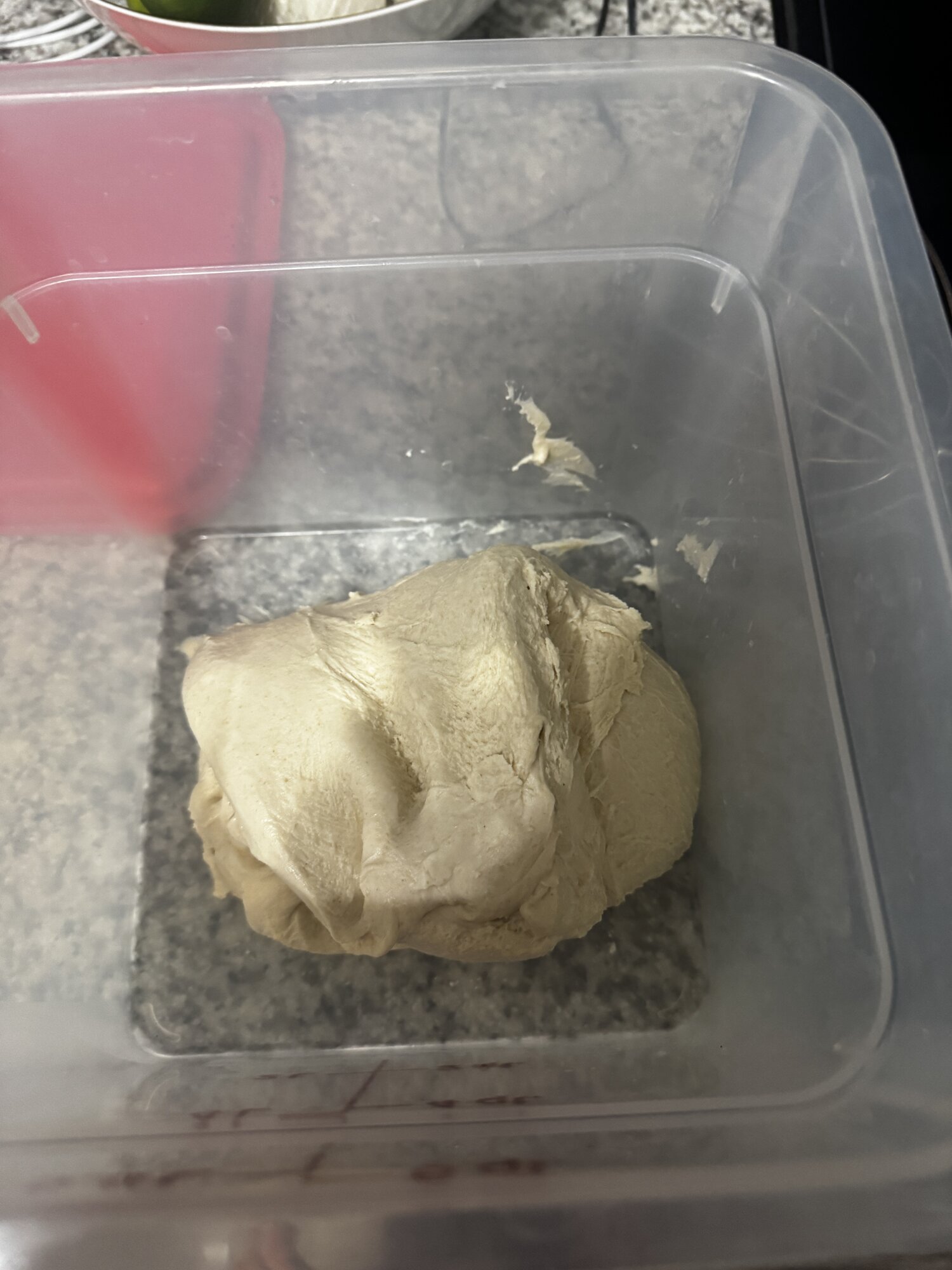 The dough after the first fold, with a little surface tearing still visible.