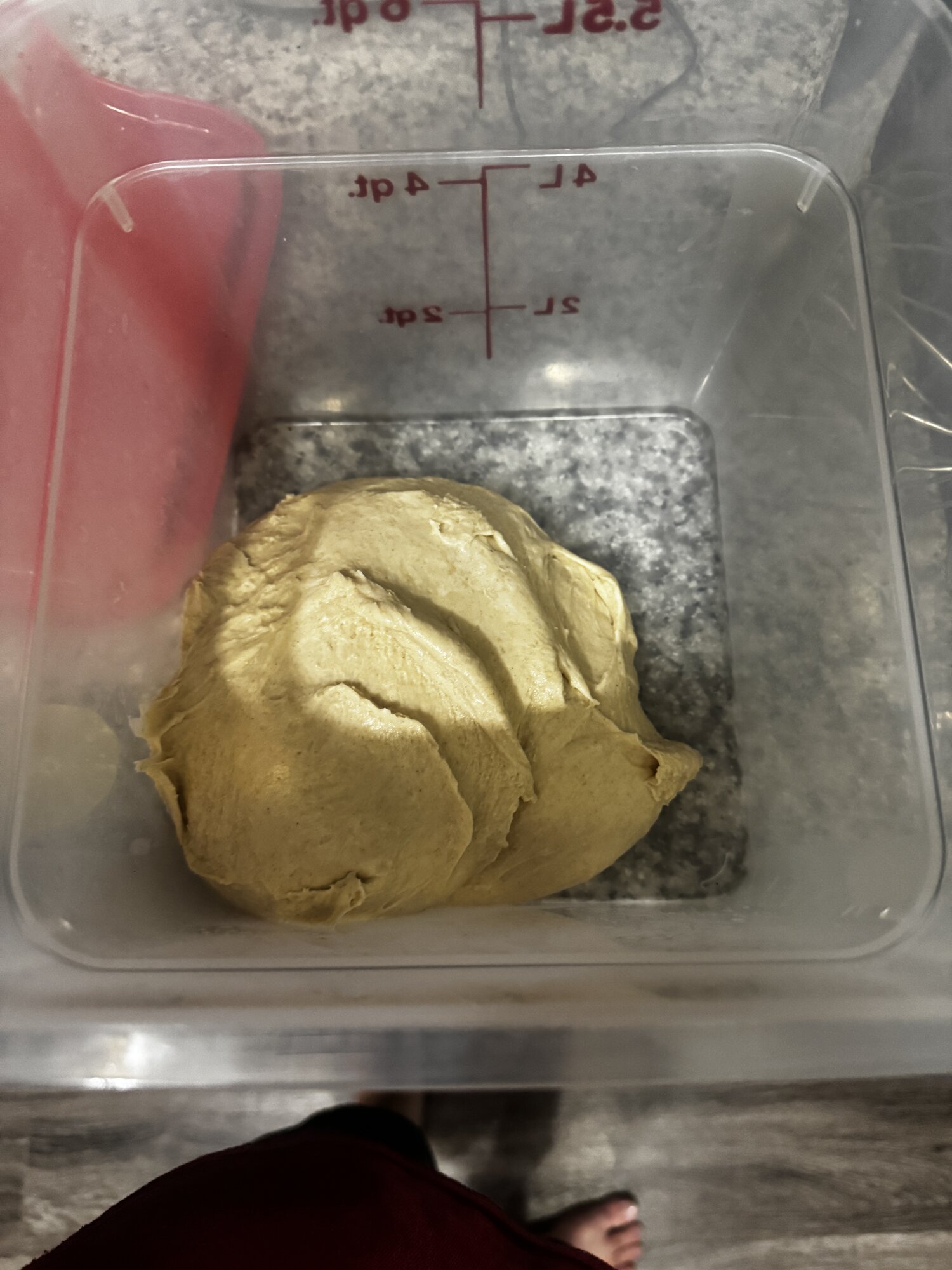 The dough before the first fold.