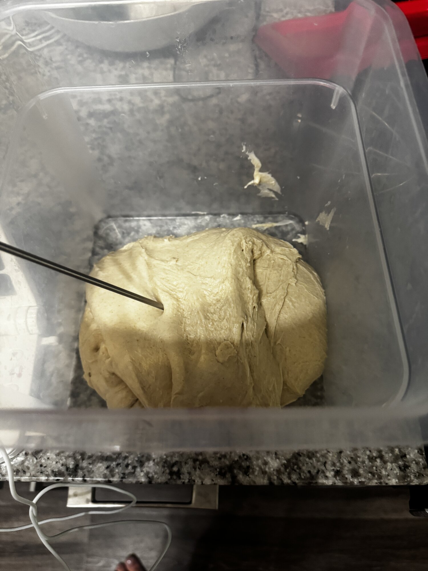 The dough relaxing before the second fold.
