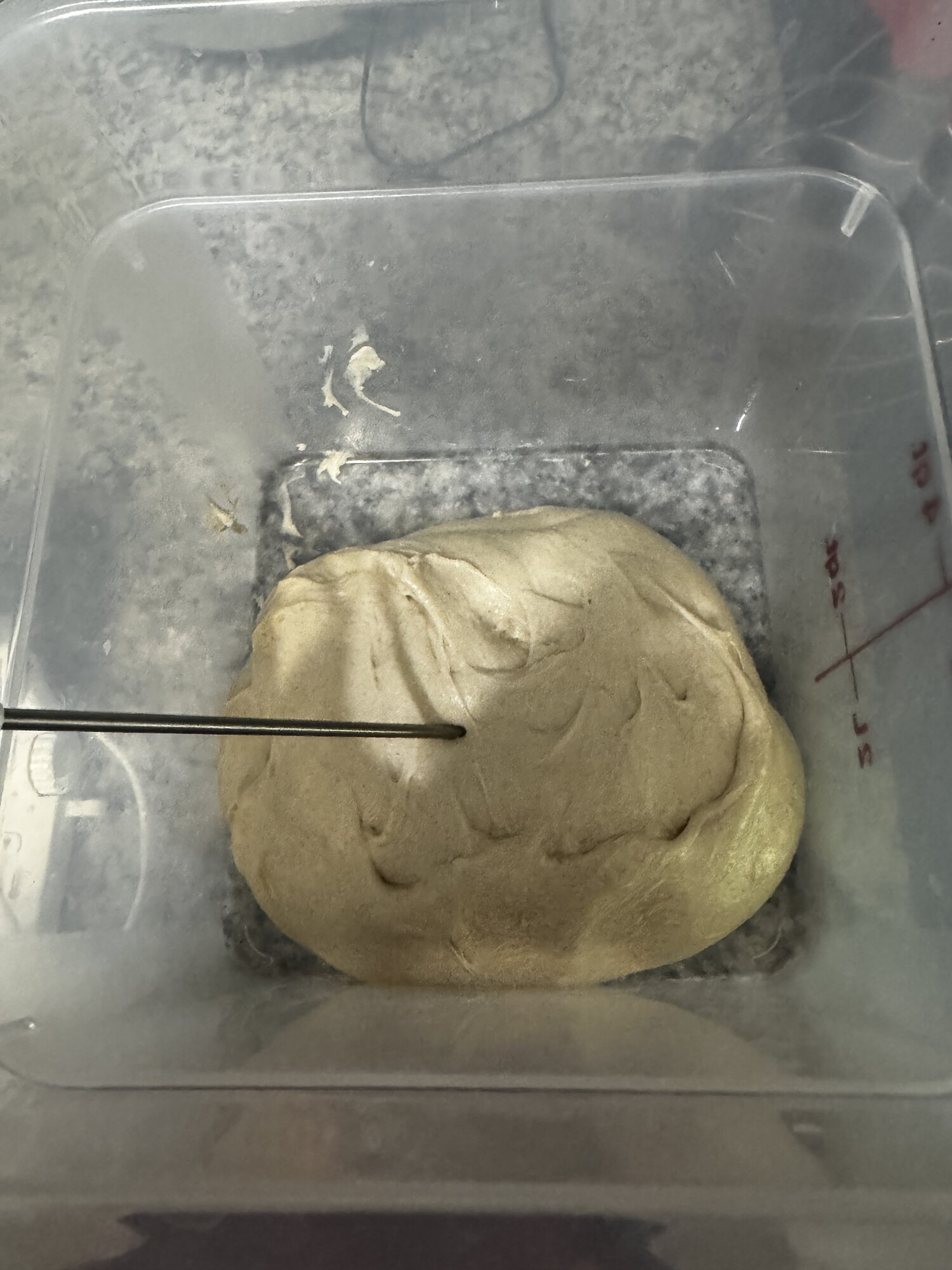 The dough before the third and final fold.