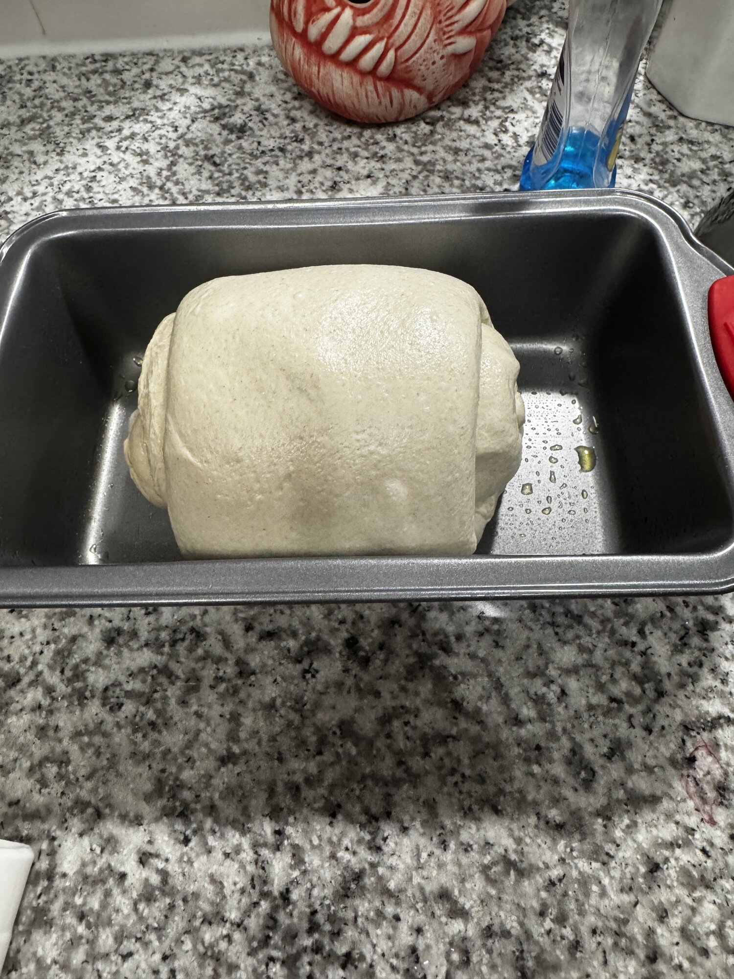 The shaped loaf at the start of its final proof.