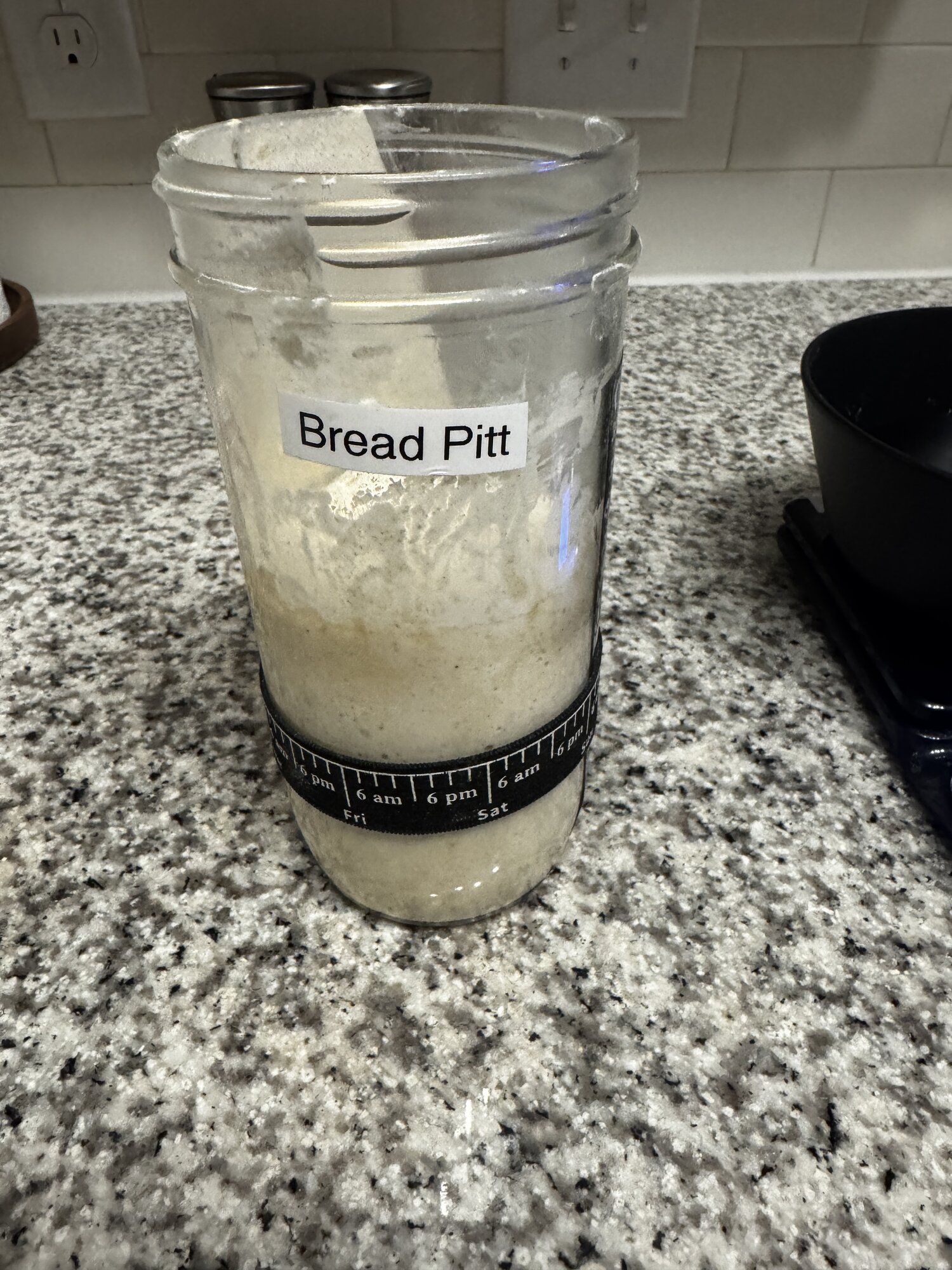 Bread Pitt active, bubbly, and ready for Bake004.