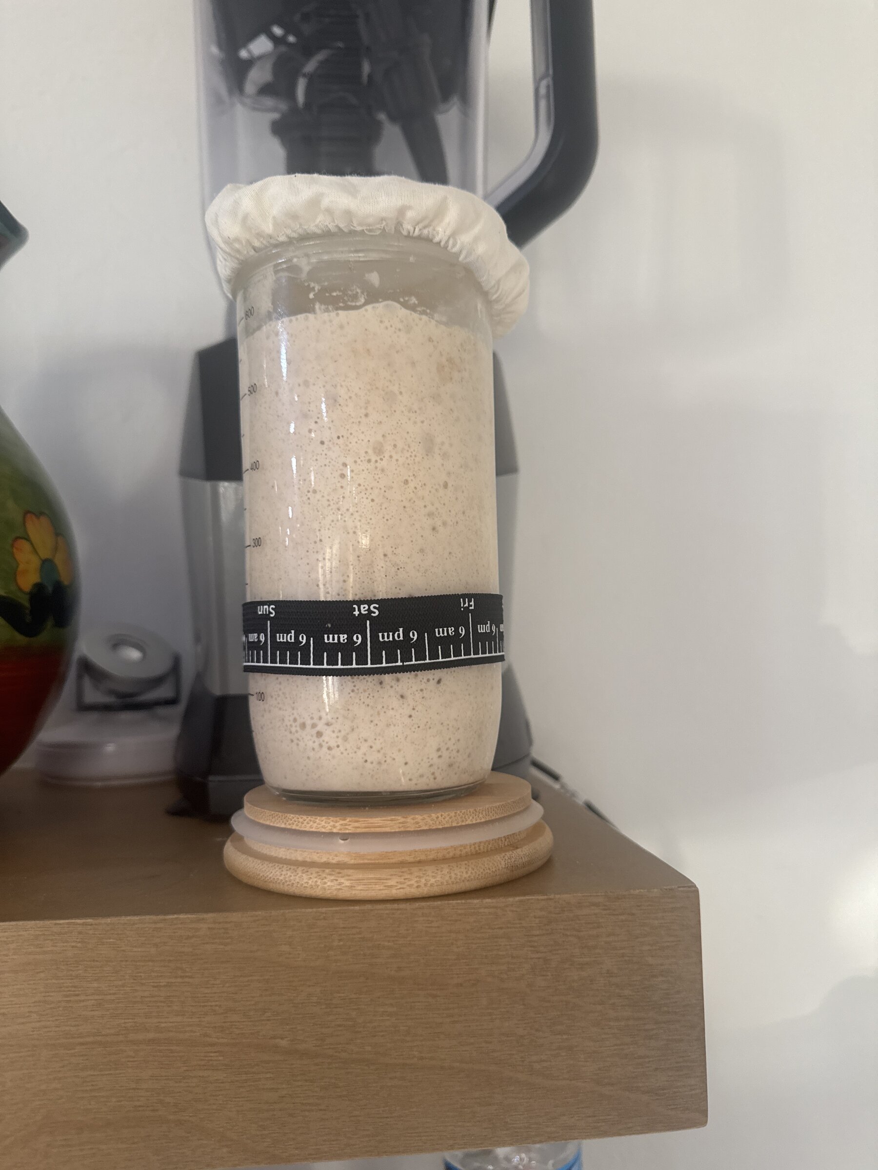 Bread Pitt Starter 1.0