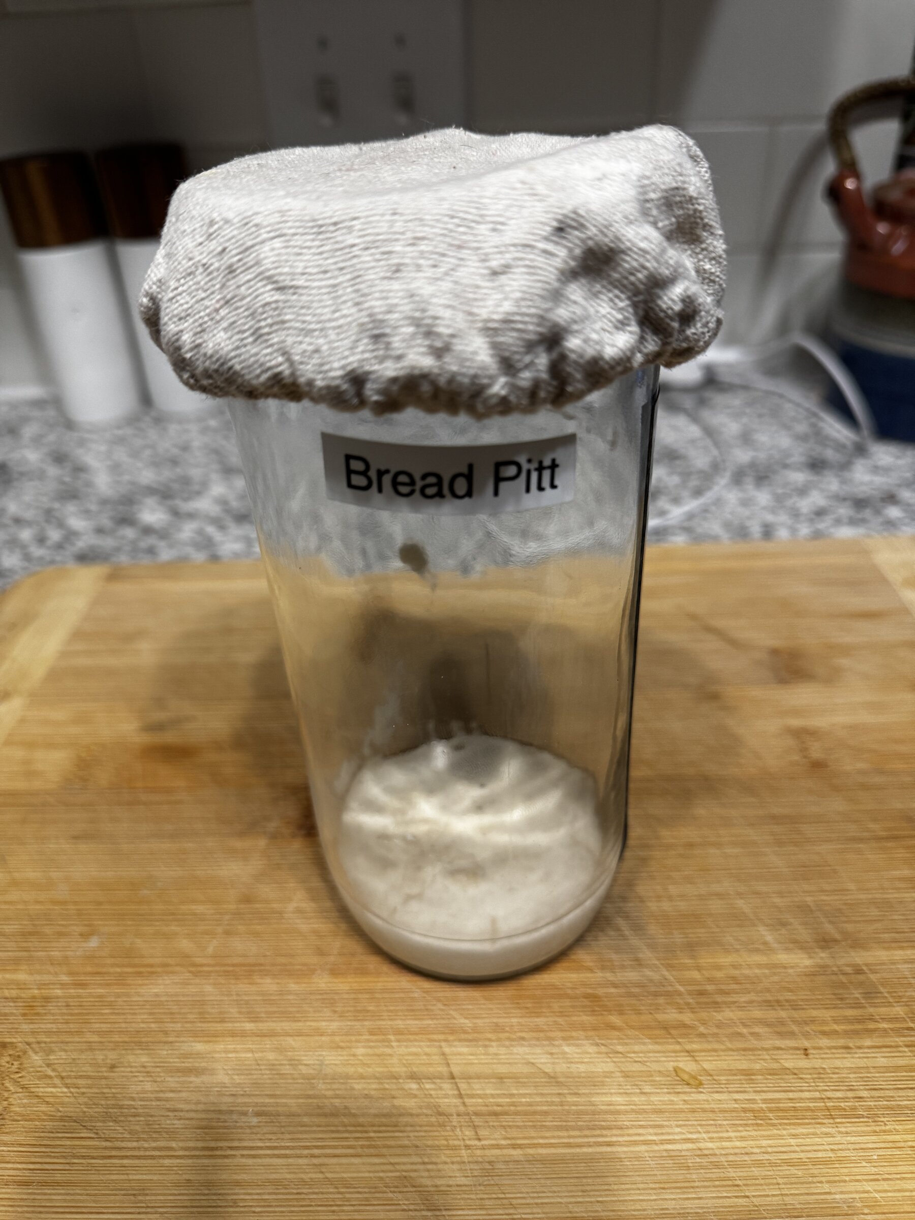 Bread Pitt Starter Early
