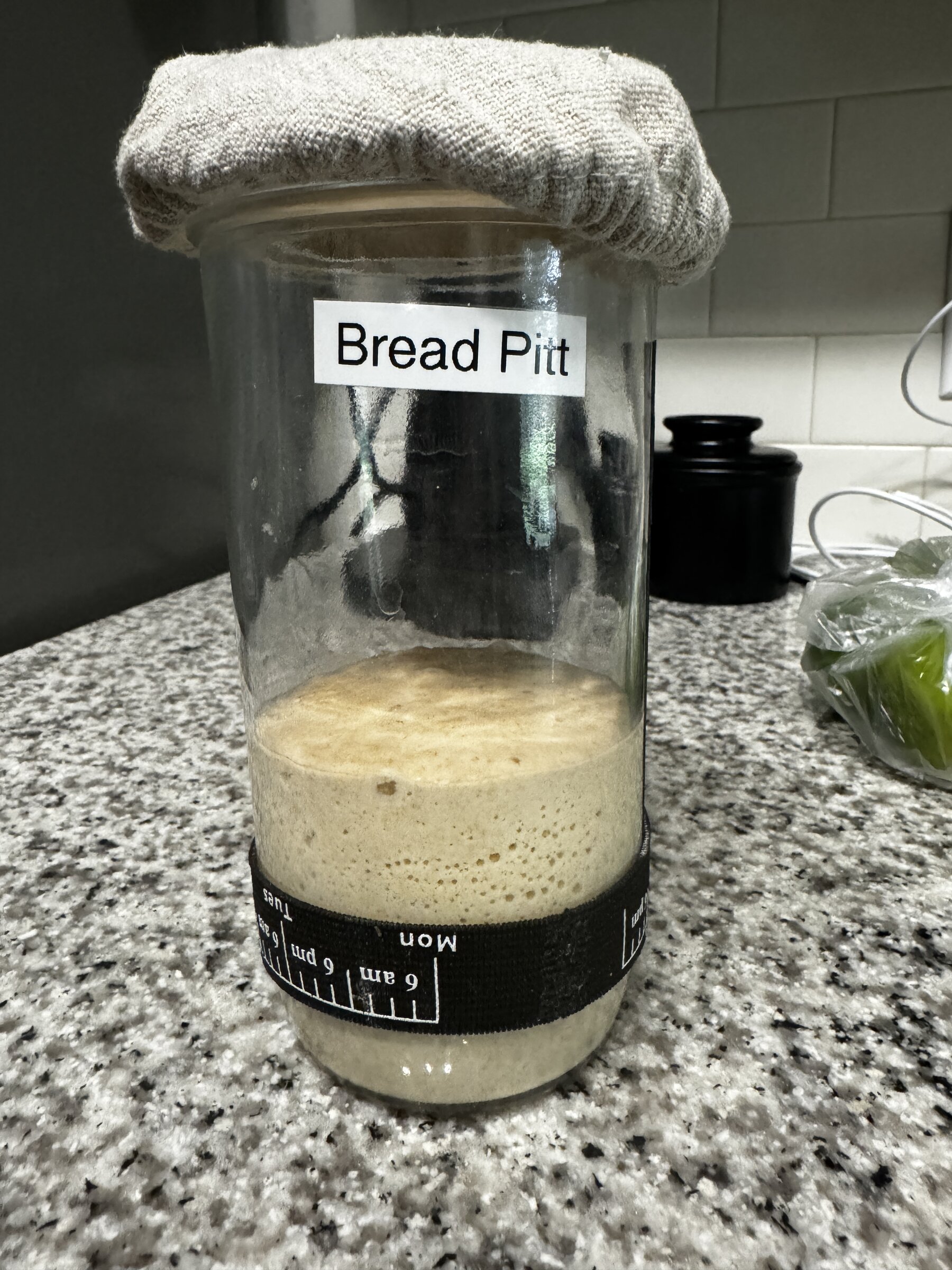 Bread Pitt Starter Montage