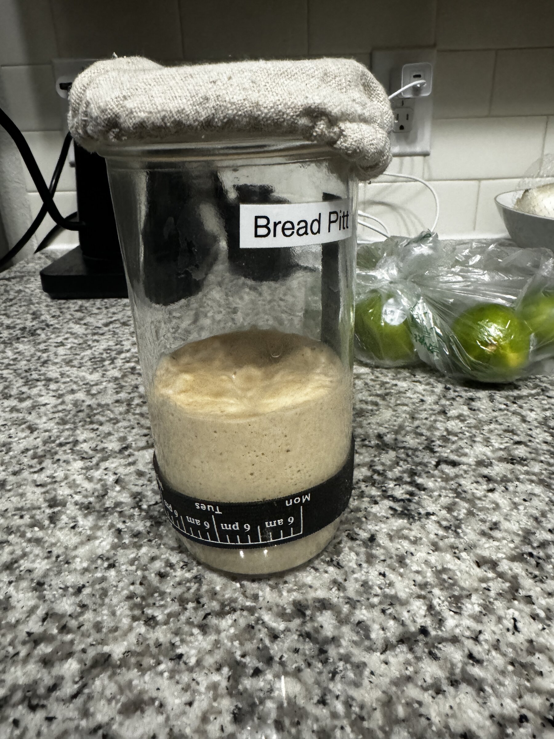Bread Pitt Starter Montage