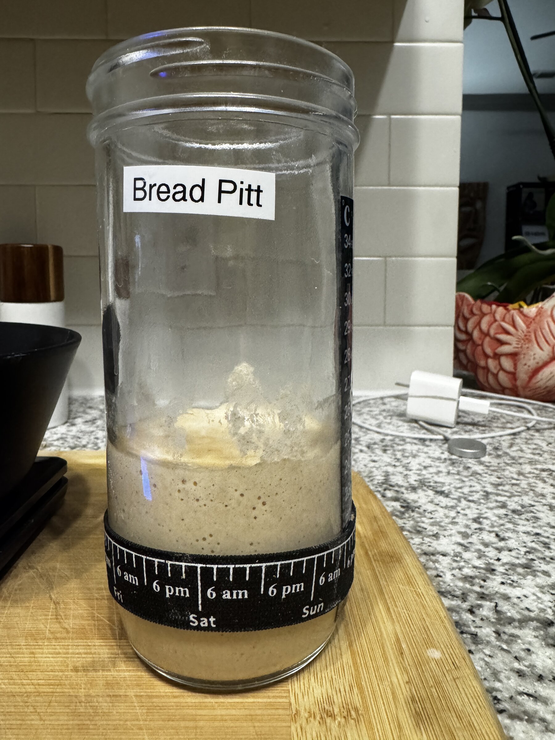Bread Pitt Starter Montage