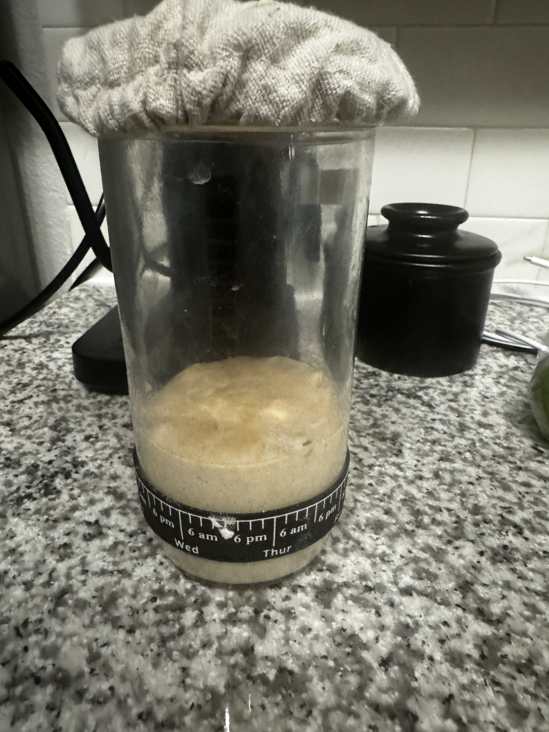 Bread Pitt Starter Whole Wheat